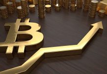 Where Can I Get the Cryptocurrency List Price?