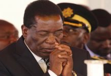 JUST IN: ‘Zanu PF candidate filed nomination papers after the 4pm deadline’