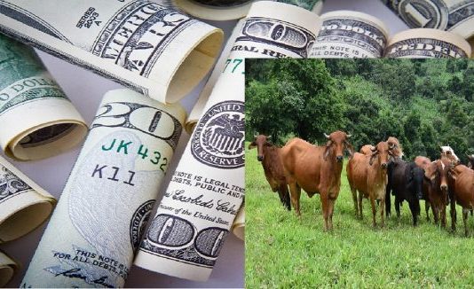 Husband runs to court to recover US$2 700 lobola after discovering wife’s affair before wedding