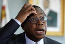 Mthuli Ncube’s Zimbabwe dollar loses value