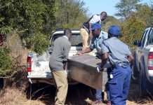 SO SAD: Teenager found dead in bush after boarding a mushikashika vehicle
