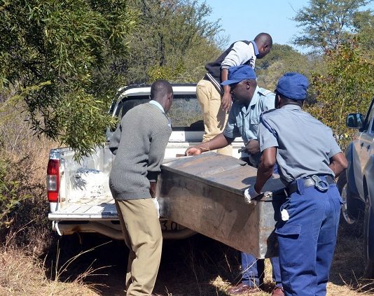 Tragedy strikes as farm dispute turns fatal: Man mercilessly bashes teenager to death for being lazy