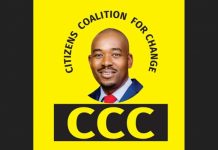 Mayhem erupts at CCC meeting as pro-Nelson Chamisa faction causes havoc