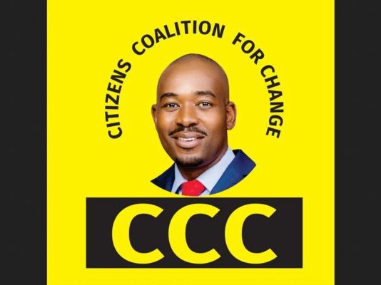Mayhem erupts at CCC meeting as pro-Nelson Chamisa faction causes havoc