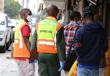 Undocumented Zim man beaten to death as SA Home Affairs Minister launches door-to-door search for illegal foreigners