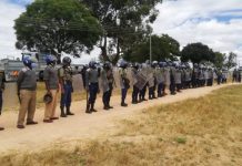 CCC member Tinashe Chitsunge’s murder: Chaos as ‘Black Boots’ bash Zanu PF supporters in Tanaka