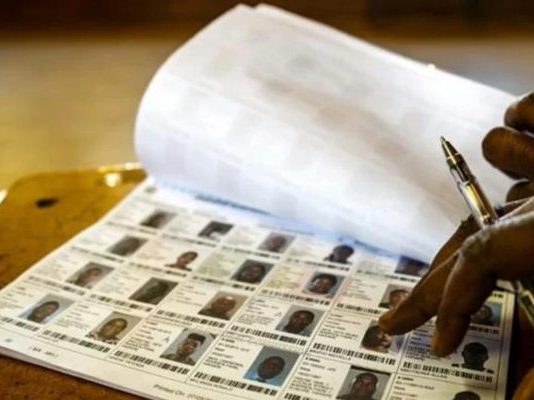 Voters’ roll inspection descends into chaos as Zanu PF members run amok ahead of 2023 elections