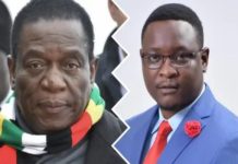 President ED Mnangagwa’s challenger Sybeth Musengezi in deep trouble!
