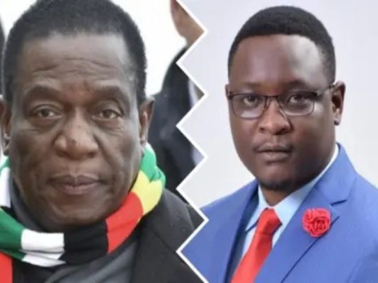 Plot to remove President ED Mnangagwa from office: Sybeth Musengezi in doghouse