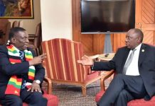 ANC’s Role Exposed: South Africa’s support for ‘rigged elections’ in Zimbabwe slammed