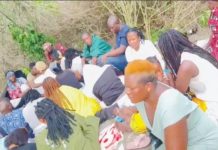 WATCH VIDEO: Chaos as Zimbabweans nearly exchange blows at sangoma’s shrine in South Africa