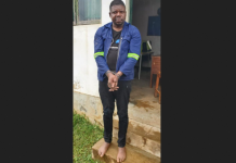 JUST IN: Mozambique hands over Jaison Muvevi who killed 3 people in Wedza to Zimbabwean police (PIC)