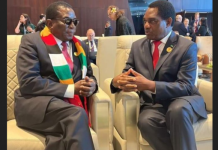 Zanu PF speaks on Zimbabwe and Zambia diplomatic tiff reports
