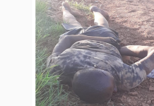 Harare thief Bla Odza joins his ancestors after being beaten to death in mob justice