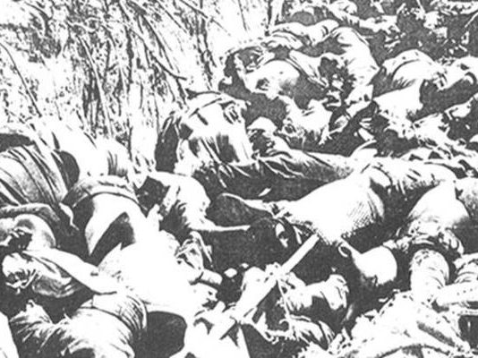 War veteran narrates how he narrowly escaped the Nyadzonia massacre during the liberation struggle