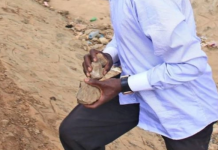 Horror as man stones cousin following a misunderstanding during beer binge