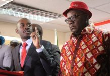 Explosive Announcement: Nelson Chamisa challenges disgruntled CCC bigwigs to form their own party
