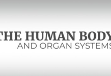 Already big enough by first grade: One part of the body that stops growing early