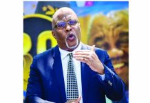 Zimbabwe elections saga: SADC sounds alarm after Zanu PF bigwigs attacked Hichilema and Nevers Mumba