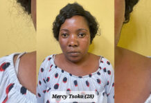2 Zimbabwean women in serious trouble after kidnapping 3 children in South Africa