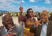 CCC moves to replace Nelson Chamisa amidst factional chaos