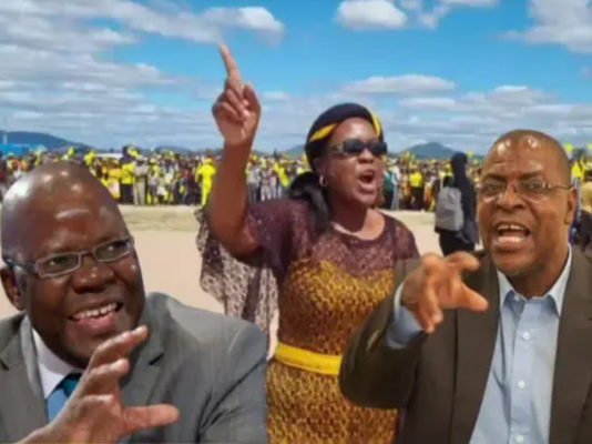 CCC moves to replace Nelson Chamisa amidst factional chaos