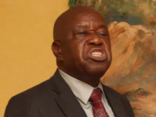 Christopher Mutsvangwa accuses veteran lawyer Tendai Biti of pushing for Mnangagwa and his Zanu PF to get in hot soup with President Trump