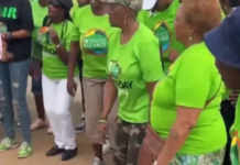 Chaos as South African opposition party members storm school over teaching Shona language