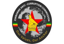 Ex Zacc commissioner Farai Mashonganyika and her husband Tendai Chinyani run amok