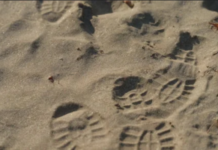 Following the path: Shoe tracks lead to arrest of evil rapist at his house