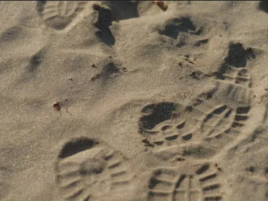 Following the path: Shoe tracks lead to arrest of evil rapist at his house