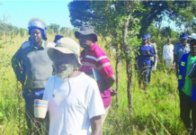 Unmasking the cult leader Madzibaba Ishmael: Shocking truth about his 9 wives revealed