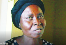 Ghost cars come here at night & flash their lights: Strange chicken head & dead cats torment woman