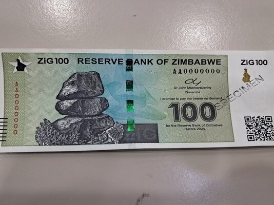 How to convert your ZWL balances to ZiG