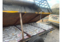 Major Drug Bust: Smuggled mbanje and illegal cough syrup intercepted at Beitbridge border