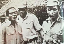 President Emmerson Dambudzo Mnangagwa reveals who is to blame for causing Gukurahundi