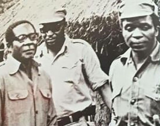 President Emmerson Dambudzo Mnangagwa reveals who is to blame for causing Gukurahundi