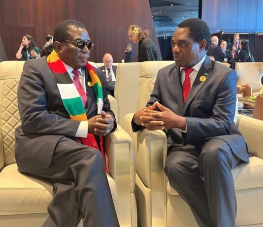 No to ED’s SADC Chairmanship: Massive international condemnation as Zimbabweans protest Mnangagwa’s leadership