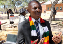 Fired Deputy Minister of Higher and Tertiary Education Simelisizwe Sibanda apologises after messing up with ED