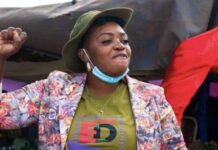 PLAYING WITH FIRE: Minister Tatenda Mavetera in trouble for leading a song mocking General Chiwenga at Heroes Acre