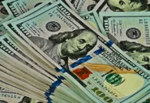 Goodbye US Dollar: RBZ vows to declare ZiG as Zimbabwe’s only currency