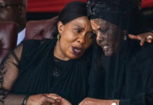 Tough times for Grace Mugabe, Bona and their relatives as Mnangagwa’s government goes after their farms