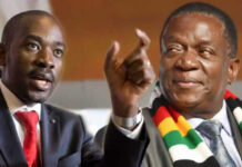Why President Mnangagwa’s government has gobbled US$220 million in preparation for 2-day SADC summit