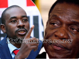 CAB3 Under Siege: Death Threats and ‘Shocking Stats’ Exposed as Chamisa Speaks Out… MP vows to vote NO!