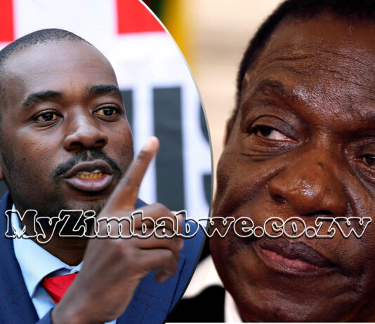 You cheated but I’m now a dangerous man, I will get the job done: Nelson Chamisa warns Zanu PF ahead of SADC Summit