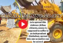 Latest on video of Chinese manager who tortured and ‘hanged’ 2 Zimbabwean miners in Bindura: Police deliver justice