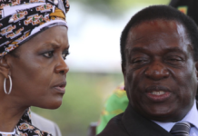 Grace fights back as the Mugabes wealth crumbles… President Mnangagwa says Grace can’t have 16 farms