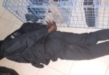 5 robbers thoroughly beat up security guard, escape with US$10,000 after raiding a shop in Harare CBD