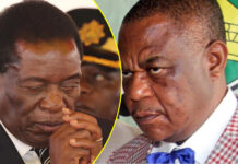 Minister leaks Zanu PF plot, says Constitutional Amendment Bill to extend Mnangagwa’s rule to 2030 now ready, to be Gazetted next week