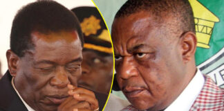 Minister leaks Zanu PF plot, says Constitutional Amendment Bill to extend Mnangagwa’s rule to 2030 now ready, to be Gazetted next week